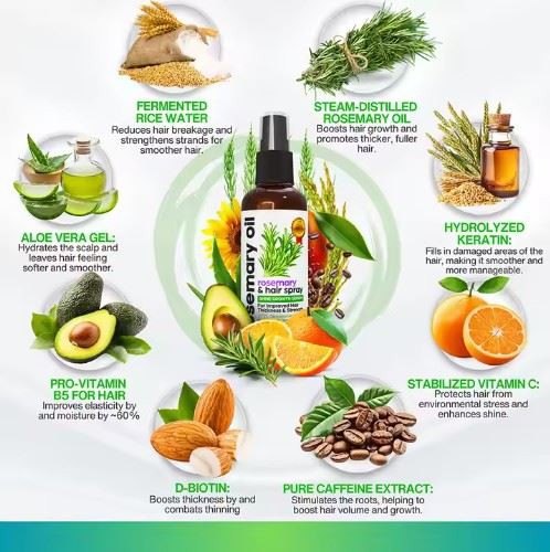 Hair Care Rosemary Oil And Rice Water Hair Growth Spray Serum Oil